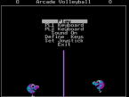 Arcade Volleyball