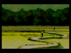 Lost Patrol