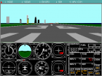 Microsoft Flight Simulator (v4.0)